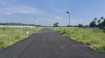  Residential Plot for Sale in Thirumangalam, Madurai