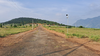  Residential Plot for Sale in Nilakkottai, Dindigul