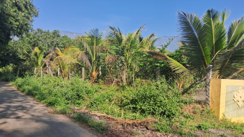  Agricultural Land for Sale in Periyakulam, Theni