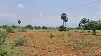  Agricultural Land for Sale in Vadugapatti, Theni
