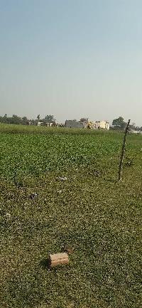  Agricultural Land for Sale in Ayodhya, Faizabad