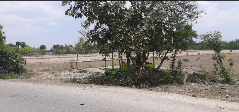  Residential Plot 1160 Sq.ft. for Sale in Tindivanam, Chennai