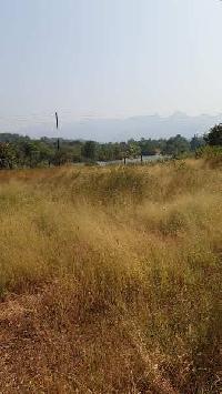  Agricultural Land for Sale in Mangaon, Pune