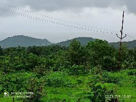  Agricultural Land for Sale in Shrivardhan, Raigad