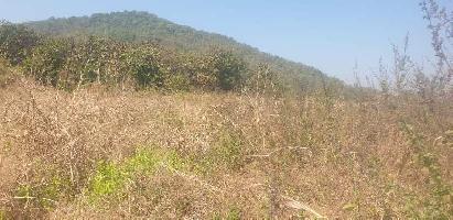  Agricultural Land for Sale in Mangaon, Raigad