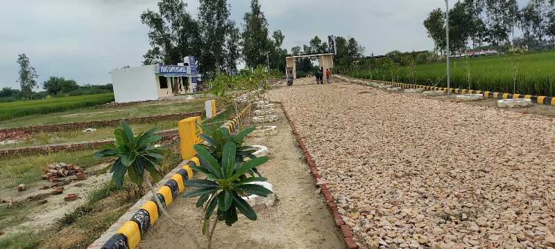  Residential Plot 1000 Sq.ft. for Sale in Mohanlalganj, Lucknow