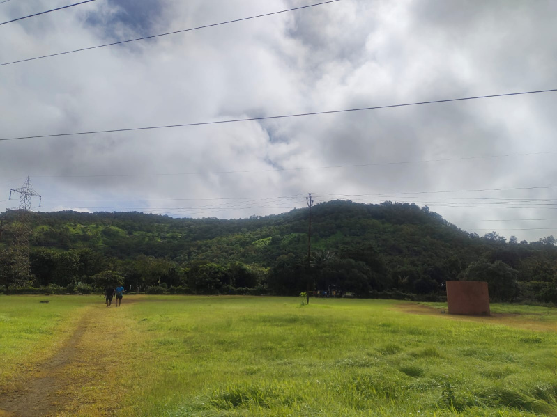  9 Bigha Agricultural/Farm Land for Sale in Jahangirabad, Bulandshahr