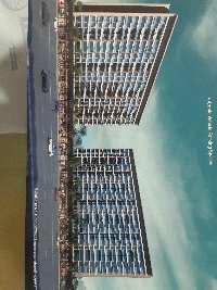 3 BHK Flat for Sale in Sector 19 Nerul, Navi Mumbai