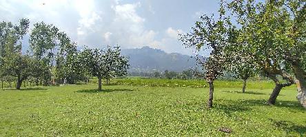  Agricultural Land for Sale in Pahloo, Kulgam