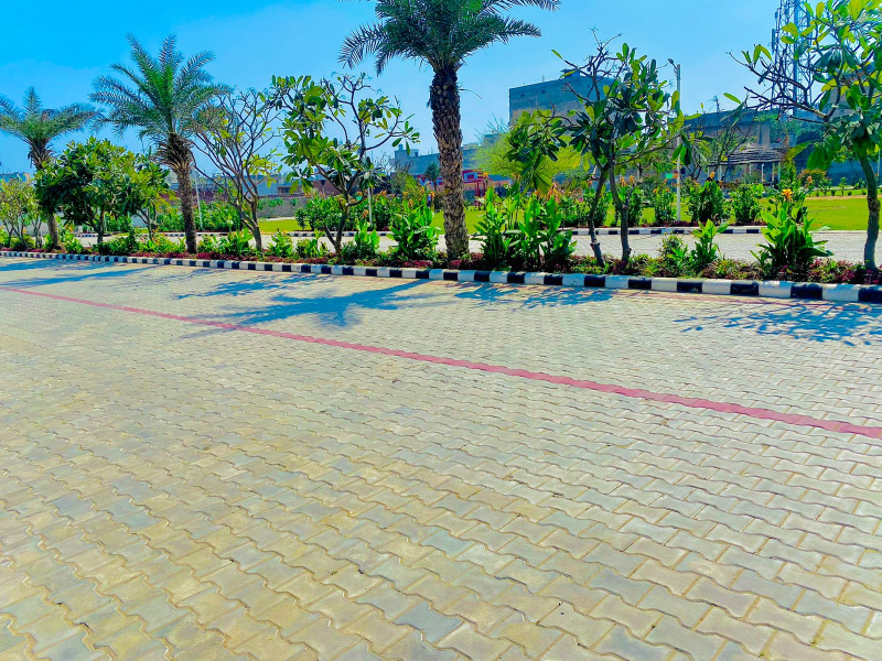  Residential Plot 156 Sq. Yards for Sale in Sector 22 Dharuhera