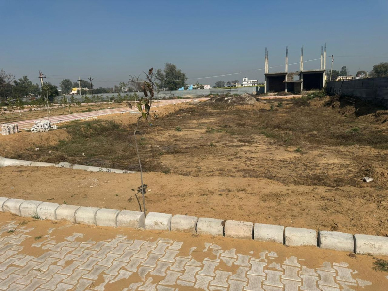  Residential Plot 112 Sq. Yards for Sale in NH 8, Dharuhera