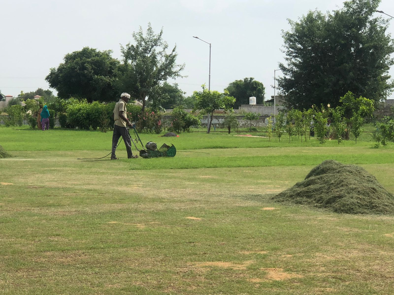  110 Sq. Yards Residential Plot for Sale in Thara, Bhiwadi