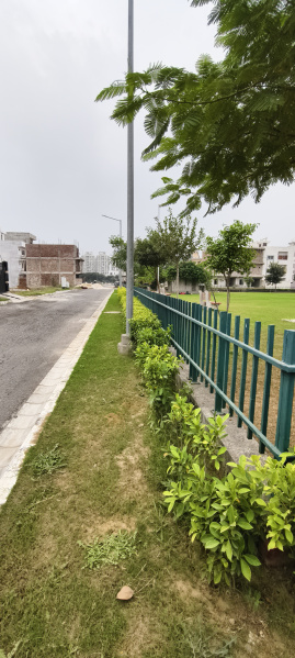  125 Sq. Yards Residential Plot for Sale in Sector 7, Dharuhera