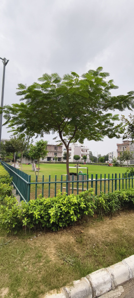  125 Sq. Yards Residential Plot for Sale in Sector 7, Dharuhera