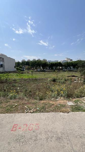  100 Sq. Yards Residential Plot for Sale in Sector 3 Dharuhera