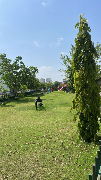  100 Sq. Yards Residential Plot for Sale in Sector 3 Dharuhera