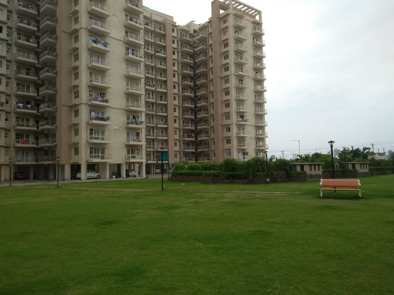 2 BHK 1100 Sq.ft. Apartment for Sale in Sector 24 Dharuhera
