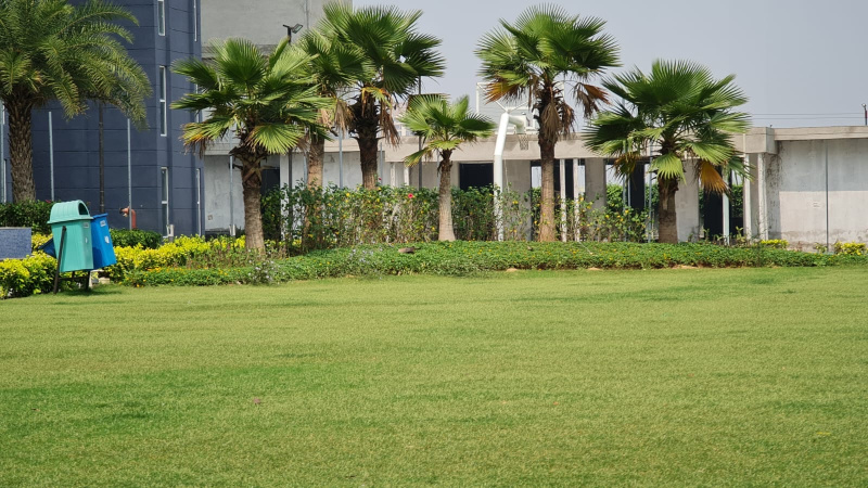 2 BHK 1300 Sq.ft. Apartment for Sale in Sector 23 Dharuhera