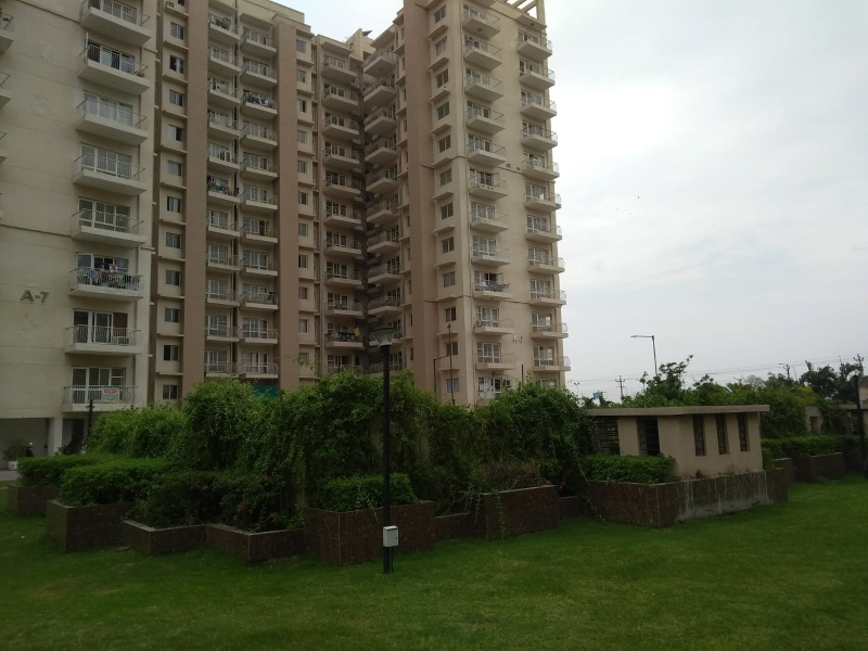 2 BHK 1300 Sq.ft. Apartment for Sale in Sector 24 Dharuhera
