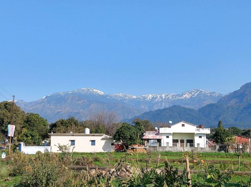  5 Bigha Agricultural/Farm Land for Sale in Ramnagar, Nainital