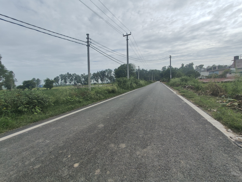  4000 Sq.ft. Residential Plot for Sale in Ramnagar, Nainital