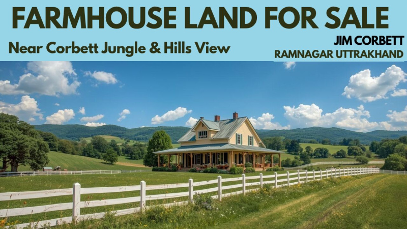  5 Bigha Residential Plot for Sale in Ramnagar, Nainital