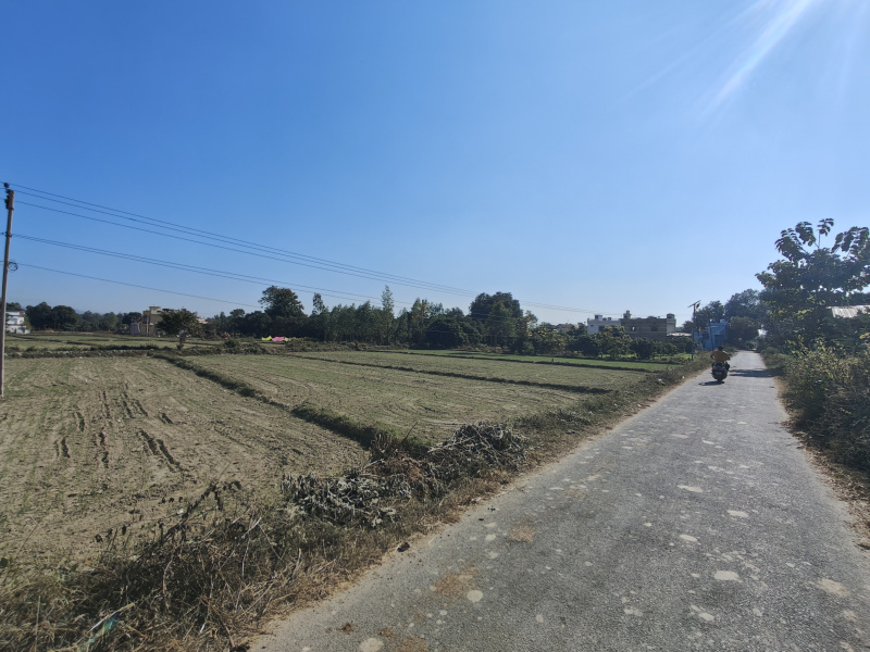  1 Bigha Agricultural/Farm Land for Sale in Ramnagar, Nainital