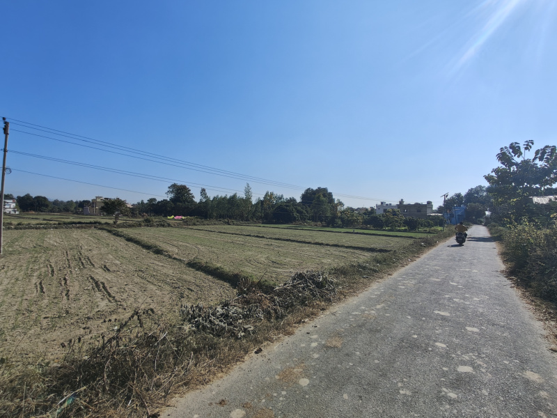  1 Bigha Agricultural/Farm Land for Sale in Ramnagar, Nainital