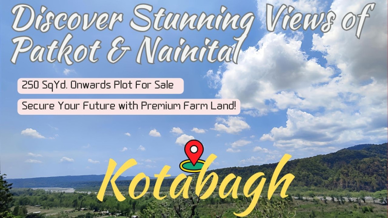  2250 Sq.ft. Residential Plot for Sale in Kotabagh, Nainital