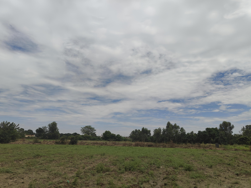  1 Bigha Residential Plot for Sale in Ramnagar, Nainital