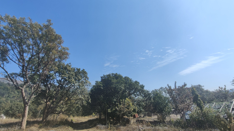  6800 Sq.ft. Residential Plot for Sale in Ramnagar, Nainital