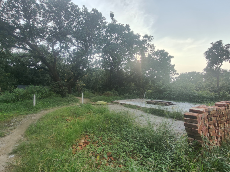  6800 Sq.ft. Residential Plot for Sale in Ramnagar, Nainital