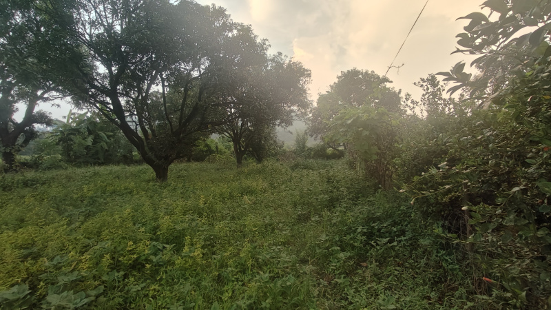  6800 Sq.ft. Residential Plot for Sale in Ramnagar, Nainital