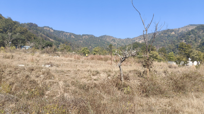  19 Bigha Agricultural/Farm Land for Sale in Ramnagar, Nainital