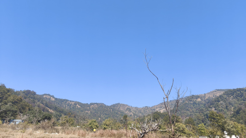  19 Bigha Agricultural/Farm Land for Sale in Ramnagar, Nainital