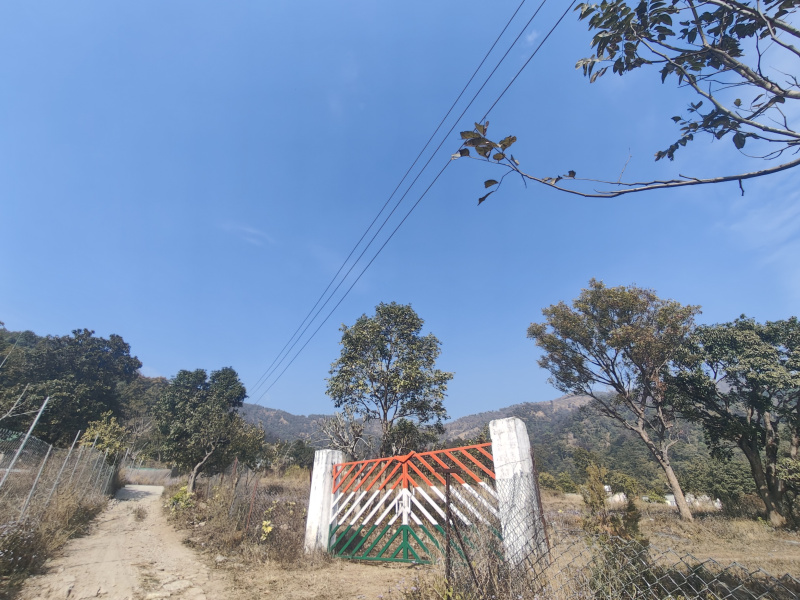  19 Bigha Agricultural/Farm Land for Sale in Ramnagar, Nainital