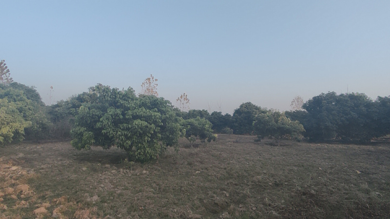  1 Bigha Residential Plot for Sale in Ramnagar, Nainital