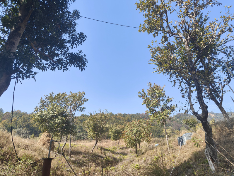  1 Bigha Residential Plot for Sale in Ramnagar, Nainital