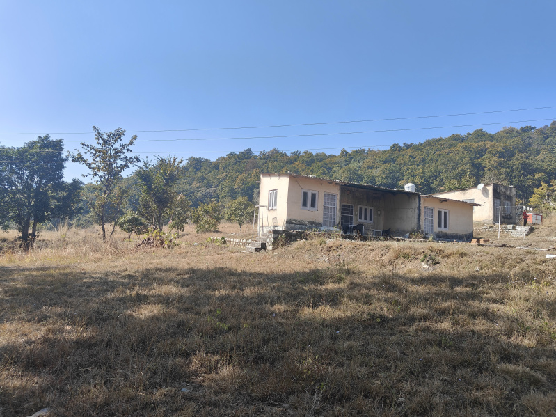  1 Bigha Residential Plot for Sale in Ramnagar, Nainital
