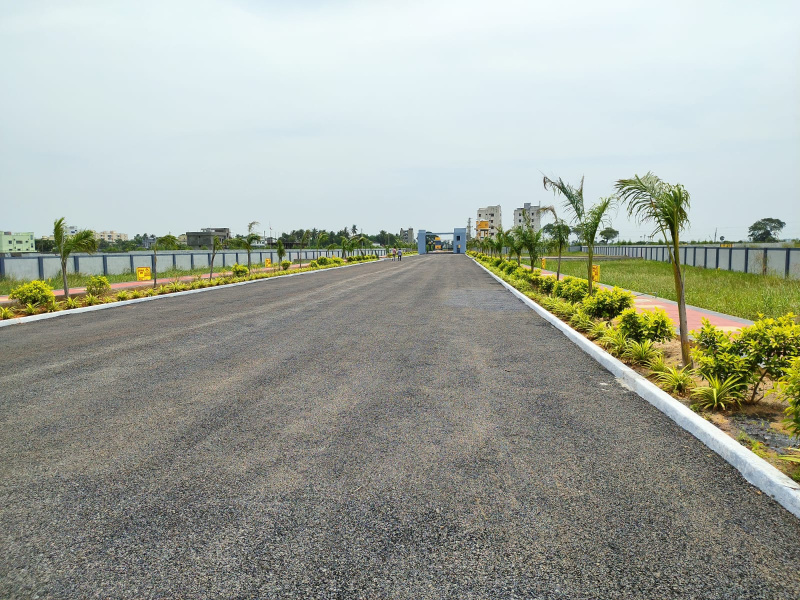  Residential Plot 150 Sq. Yards for Sale in Tadikonda, Guntur