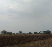  Agricultural Land for Sale in Hadgaon, Nanded