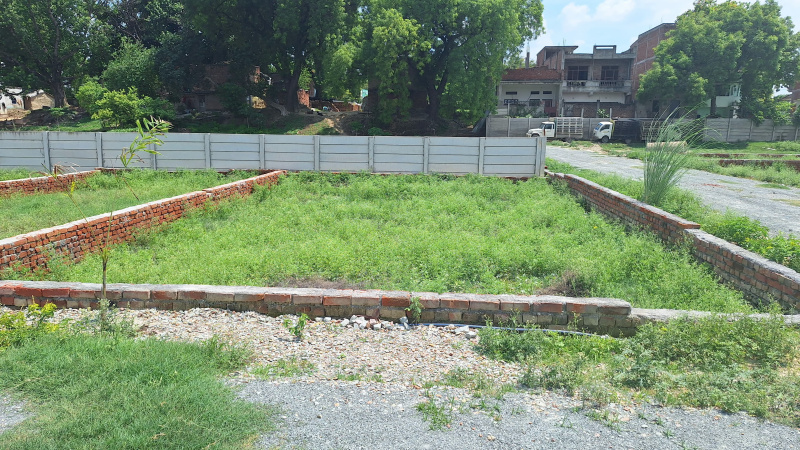  4000 Sq.ft. Residential Plot for Sale in Dhari, Amreli