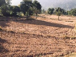  Agricultural Land for Sale in Nalagarh, Solan