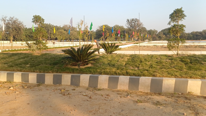  Residential Plot 1000 Sq.ft. for Sale in Raibareli Road, Raibareli Road, Lucknow