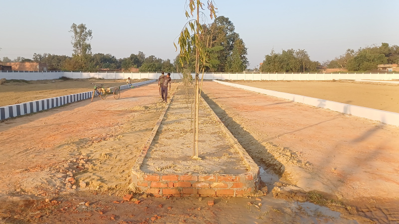  Residential Plot 1000 Sq.ft. for Sale in Raibareli Road, Raibareli Road, Lucknow
