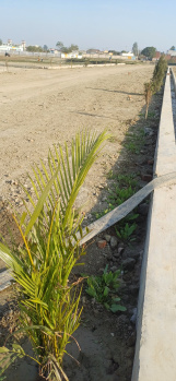  Residential Plot for Sale in Civil Lines, Unnao