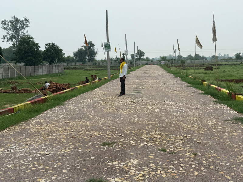  Residential Plot 1000 Sq.ft. for Sale in Sultanpur Road, Lucknow