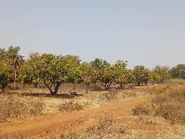  Agricultural Land for Sale in Homnabad, Bidar