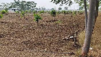  Agricultural Land for Sale in Chevella, Hyderabad