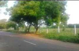  Industrial Land for Sale in Karungulam, Thoothukudi